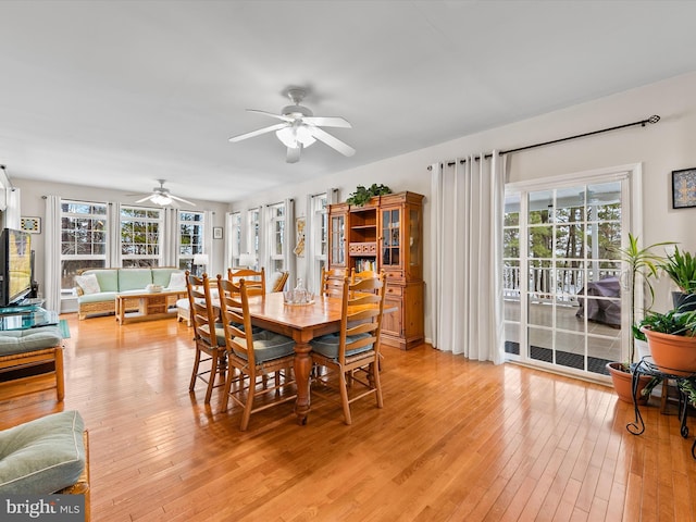 dining room with light hardwood / wood-style floors and ceiling fan