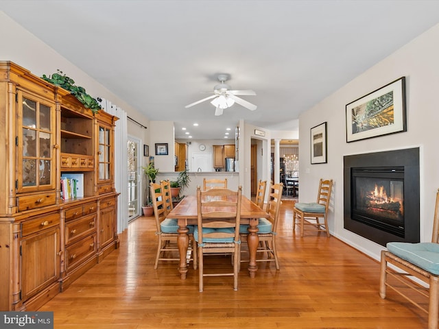 dining space with ceiling fan and light hardwood / wood-style floors