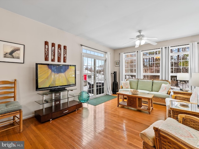 living room with hardwood / wood-style flooring, a wealth of natural light, and ceiling fan