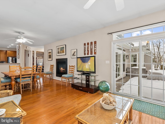 living room with ceiling fan and light wood-type flooring