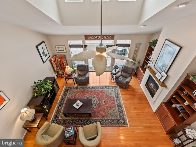 living room featuring a healthy amount of sunlight and light wood-type flooring