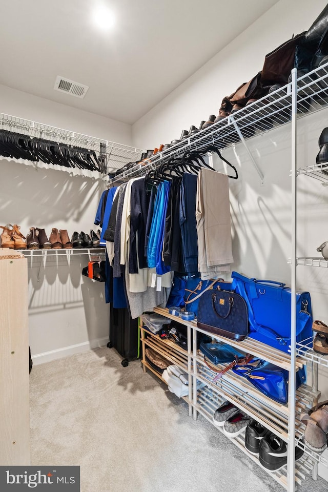 walk in closet with carpet floors