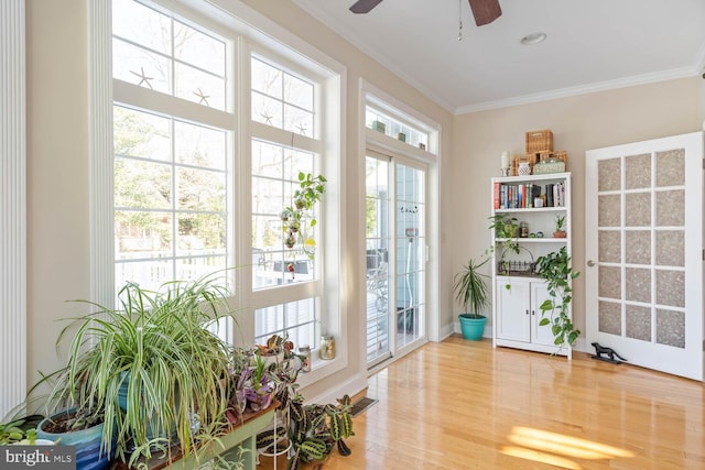 doorway to outside with ornamental molding, ceiling fan, and light wood-type flooring