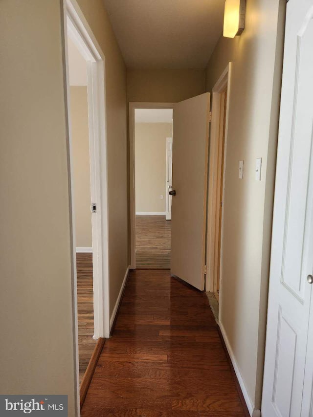 hall featuring dark wood-type flooring