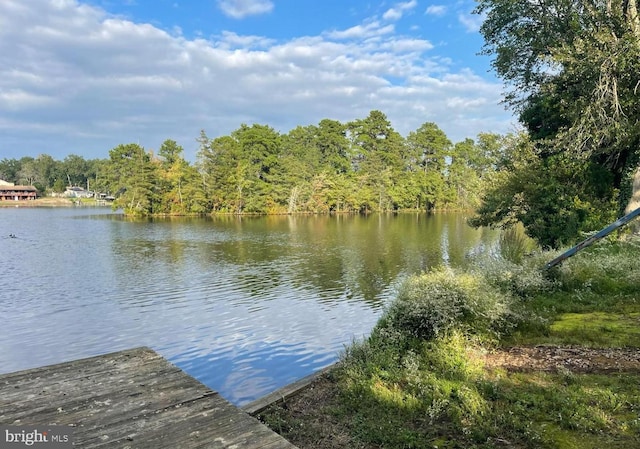 view of dock featuring a water view