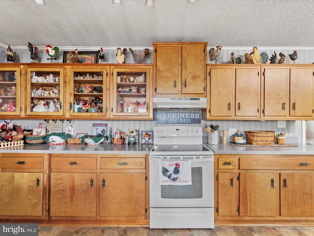 kitchen with a textured ceiling and white electric stove