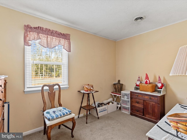 living area with light carpet and a textured ceiling