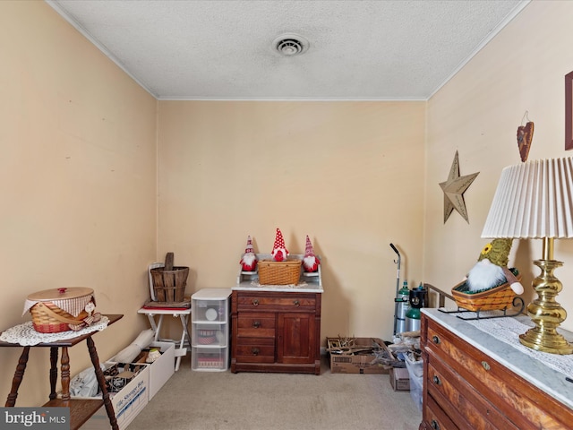 misc room featuring a textured ceiling, ornamental molding, and light carpet