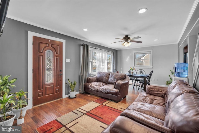 living room featuring ceiling fan, wood-type flooring, and crown molding