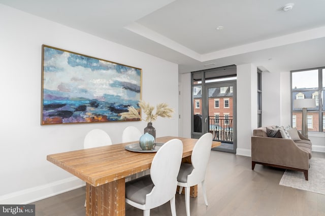 dining room with a tray ceiling, wood finished floors, and baseboards