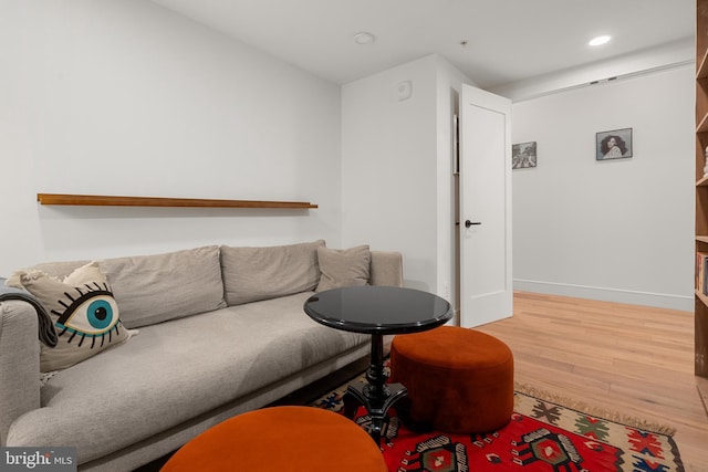 living room with wood-type flooring