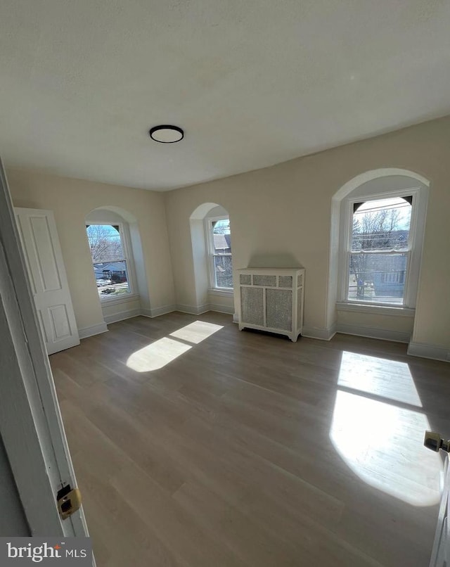 spare room with light wood-type flooring and a wealth of natural light