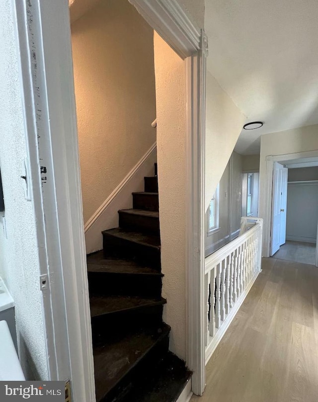 stairs with hardwood / wood-style floors