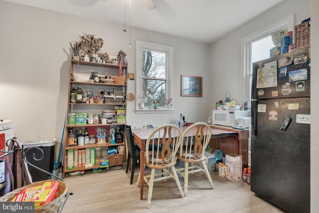 dining area with ceiling fan and light hardwood / wood-style floors