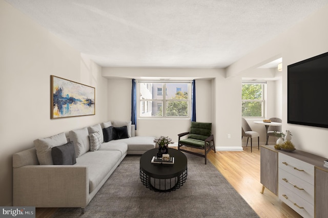 living room with light hardwood / wood-style floors and a textured ceiling