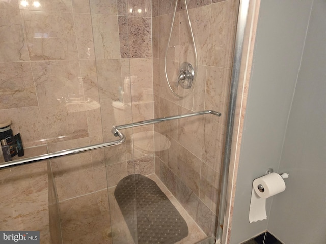 bathroom featuring a shower with shower door