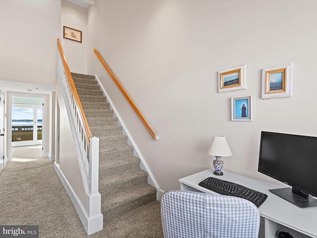 stairs with a high ceiling and carpet flooring