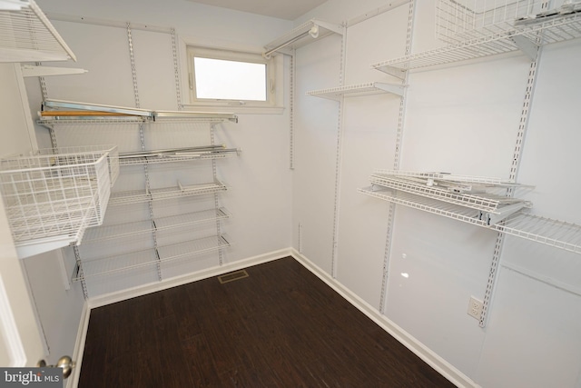 spacious closet featuring wood-type flooring