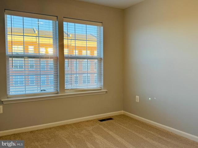 empty room featuring plenty of natural light and carpet floors