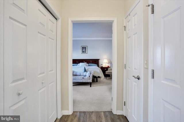 hall featuring wood-type flooring