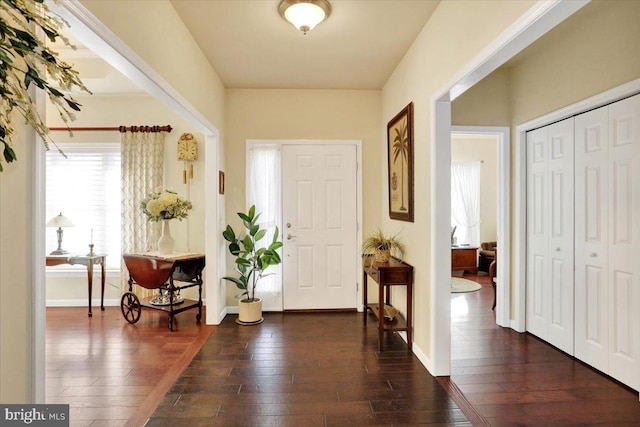 entrance foyer with dark wood-type flooring