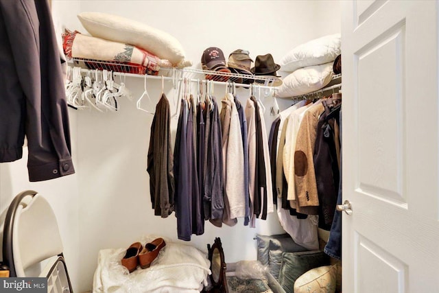 view of spacious closet