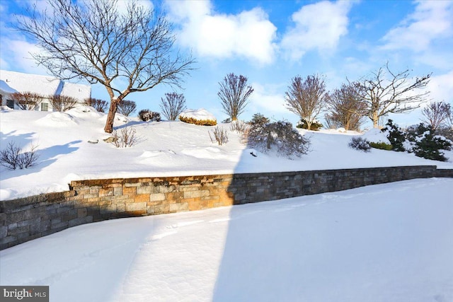 view of yard covered in snow