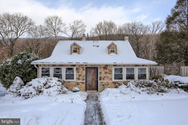 view of cape cod house