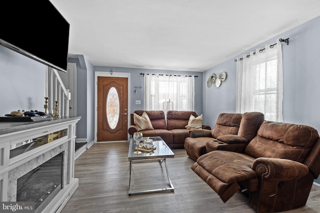 living room with hardwood / wood-style flooring and a fireplace