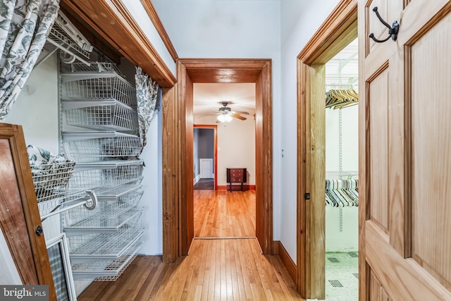 hallway with hardwood / wood-style flooring and crown molding