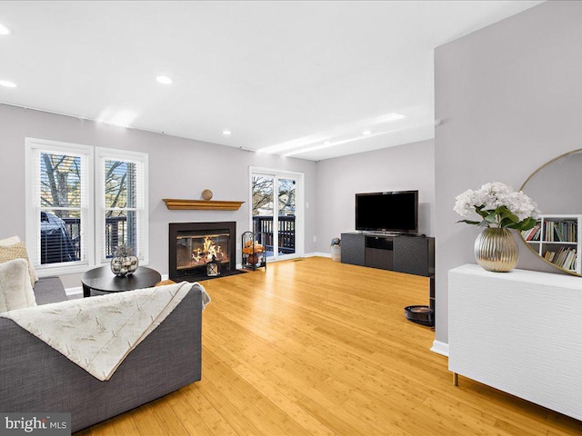 living room featuring wood-type flooring