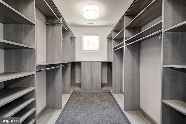 spacious closet featuring visible vents