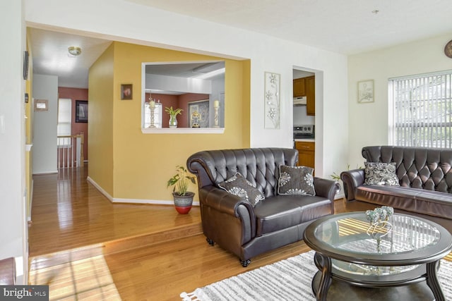 living room featuring hardwood / wood-style floors