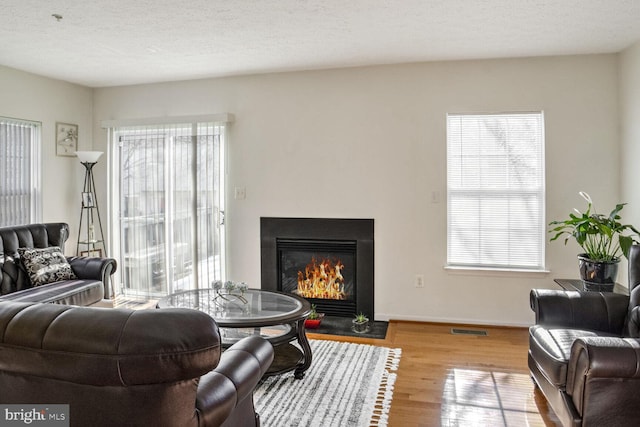 living room with hardwood / wood-style flooring and a textured ceiling