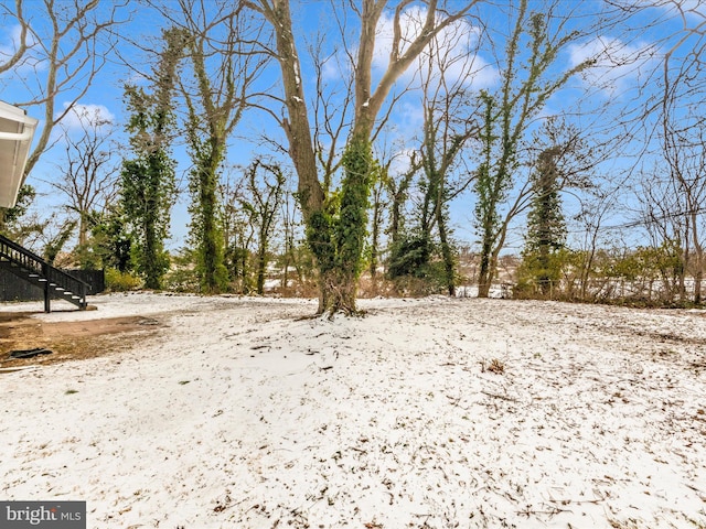 view of yard covered in snow