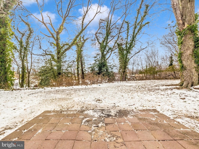 view of yard covered in snow