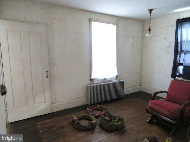 interior space with dark hardwood / wood-style floors, radiator heating unit, and a healthy amount of sunlight