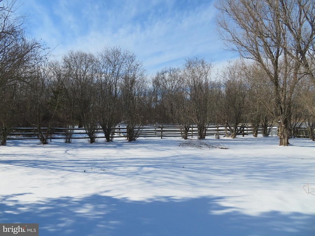 view of yard layered in snow