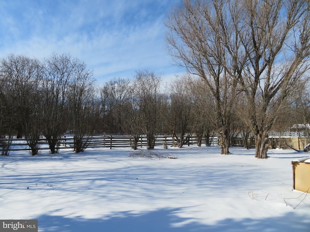 view of yard layered in snow