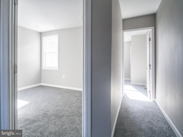 corridor featuring carpet floors