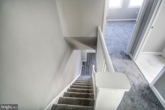 stairway featuring carpet flooring