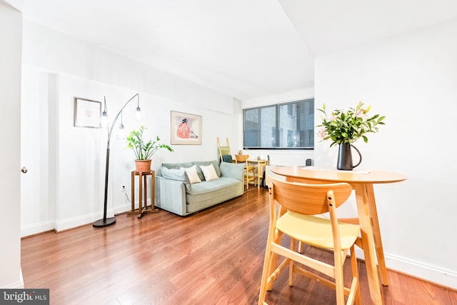 living room with wood-type flooring