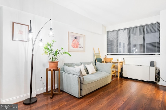 living room featuring dark wood-type flooring and radiator