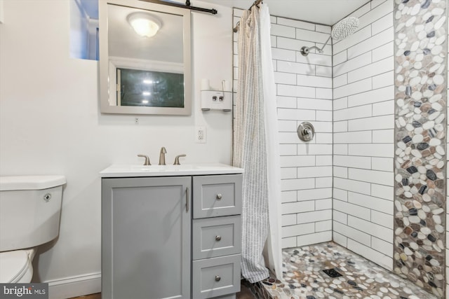 bathroom with vanity, toilet, and a shower with shower curtain