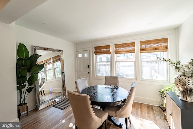 dining room with light hardwood / wood-style flooring