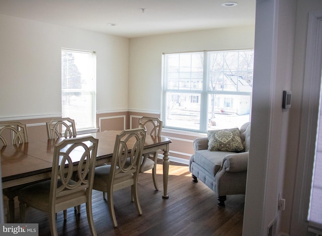 dining room featuring dark wood-type flooring