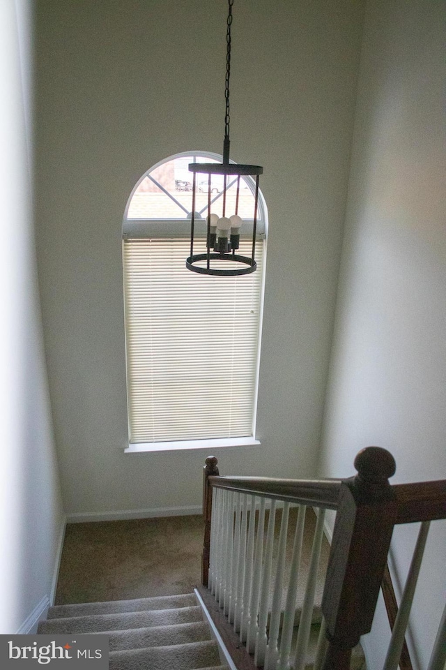 stairway featuring carpet