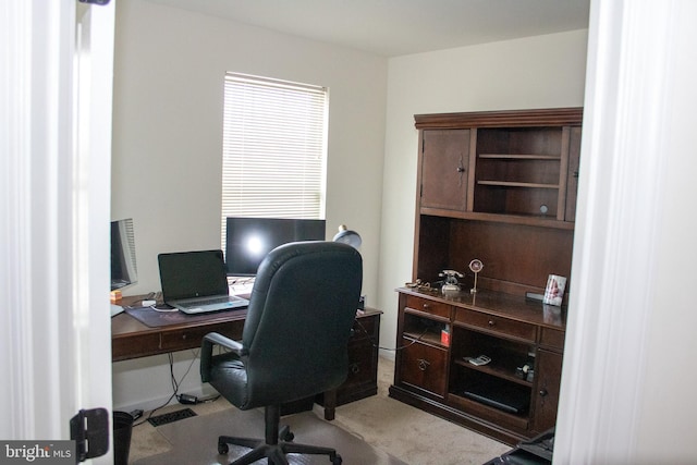 office space featuring light carpet