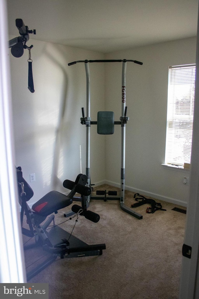 workout area featuring carpet flooring