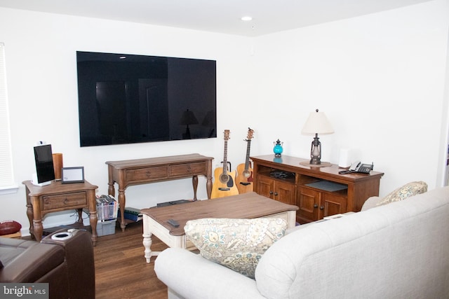 living room featuring dark hardwood / wood-style flooring